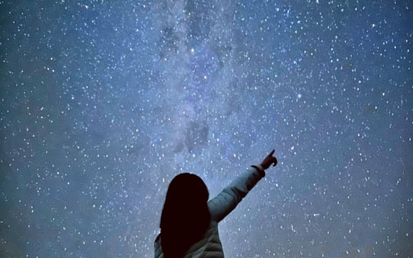 Blue Mountains Stargazing with Korean Guide and Featherdale Small Group Tour
