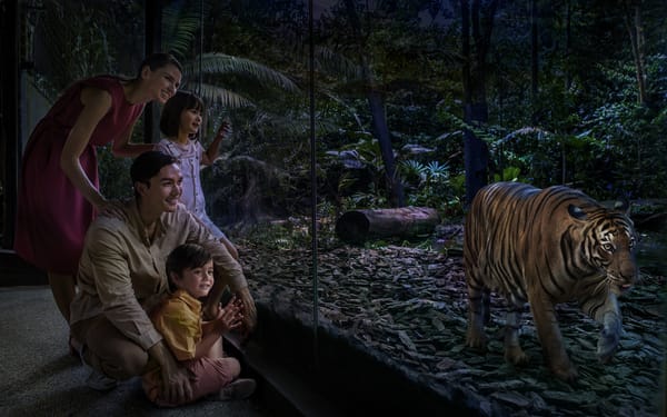 Night Safari Ticket | Mandai Wildlife Reserve, Singapore