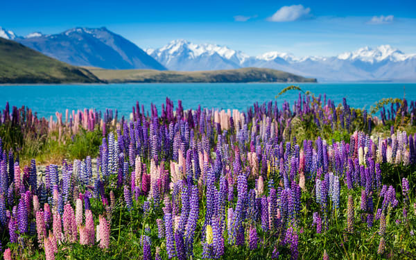 Mount Cook Day Tours between Queenstown and Christchurch