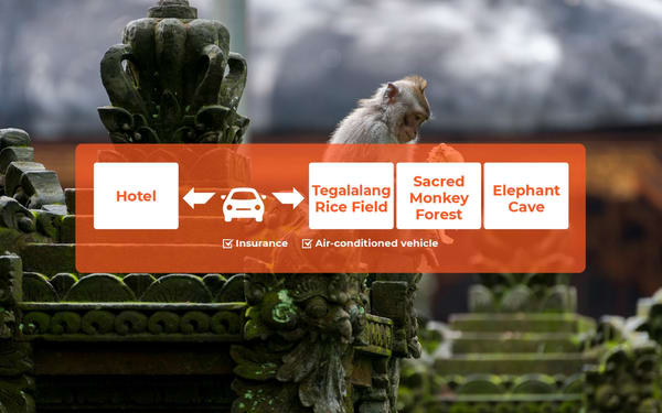 Central Bali Full Day Tour: Tegalalang Rice Field, Sacred Monkey Forest, Elephant Cave