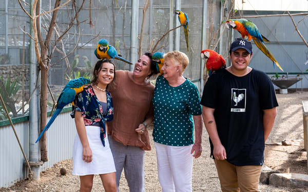 Maleny Botanic Gardens and Bird World Ticket in Sunshine Coast