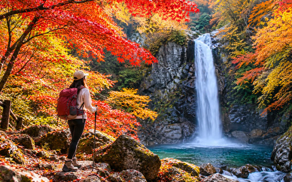 Departing from Nagoya: Chubu Shoryudo - Tsumago-juku & Magome-juku & Ryujin Waterfall Tour