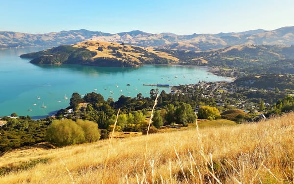 Akaroa Scenic Nature 4-WD Tour from Akaroa