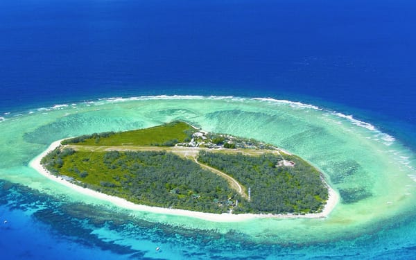 Lady Elliot Island Great Barrier Reef Tour from Gold Coast/ Brisbane