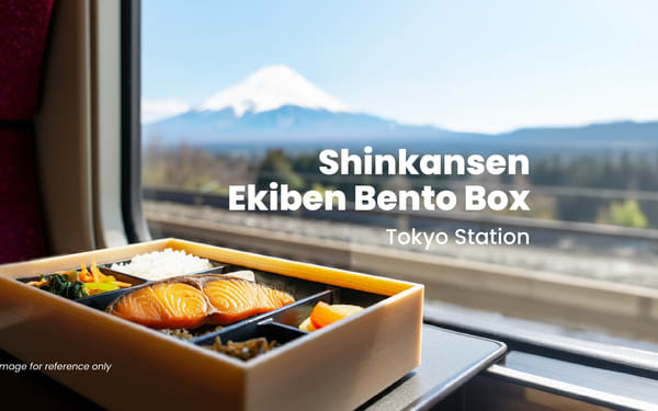 [Tokyo Station] Shinkansen Ekiben Bento Box