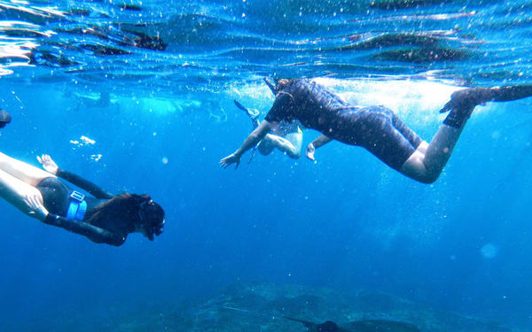 Tulamben, Padang Bai, Amed and Nusa Penida Snorkeling Experience by Bali Diving