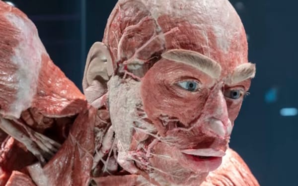 BODY WORLDS Ticket in Berlin