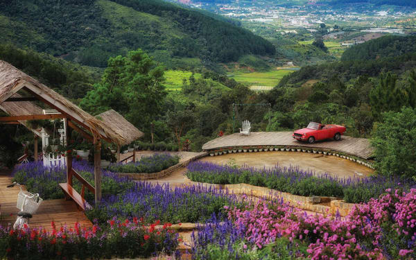Dalat Flower Highland Ticket