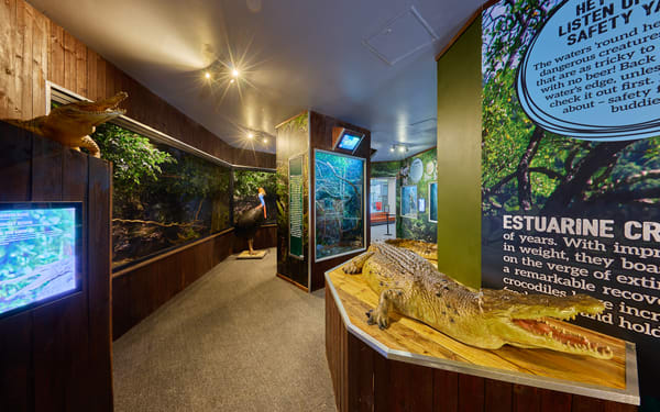 Cairns Koalas & Creatures Admission