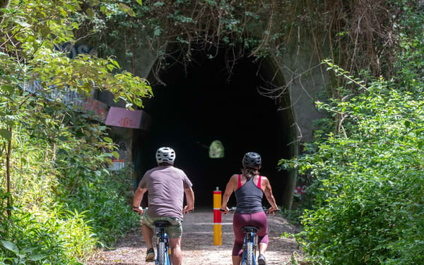 Guided Glow Worm E-Bike Tour in Byron Bay