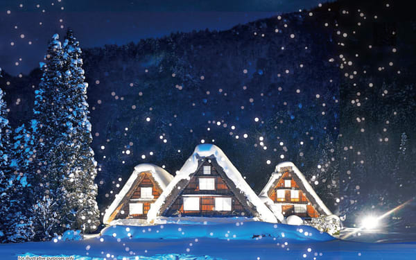Shirakawa-go Winter Light-Up and Hida Takayama Day Trip Bus Tour (From Nagoya)