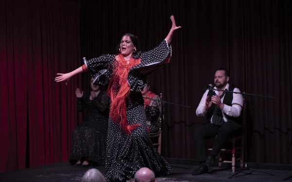 Flamenco Show Ticket at Palau Dalmases in Barcelona