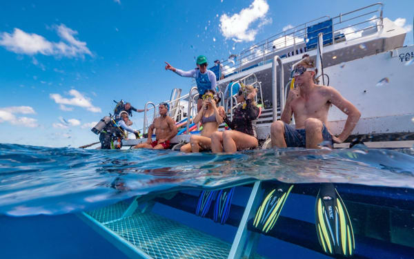 Great Barrier Reef Half Day and Full Day Tours