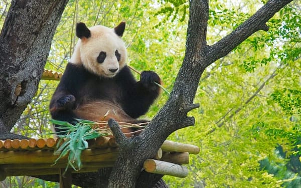 Zoo Aquarium Admission in Madrid
