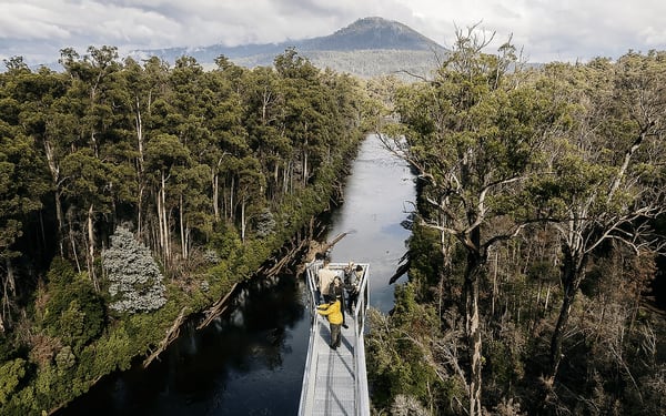 Tahune Adventures Entry Ticket