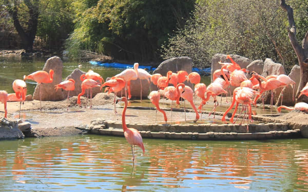 Faunia Nature Park Admission in Madrid