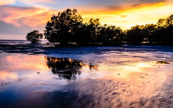 Kakadu National Park Tours & Activities
