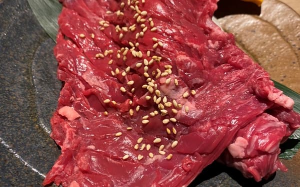 NanKouEn Okura in Sapporo Susukino - Wagyu Beef BBQ Buffet