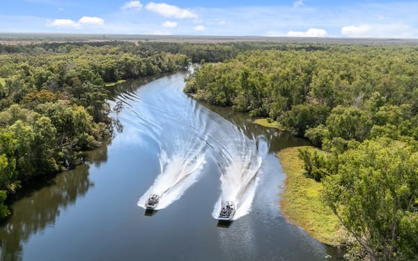 Ultimate Safari Experience with Scenic Helicopter Flight from Darwin
