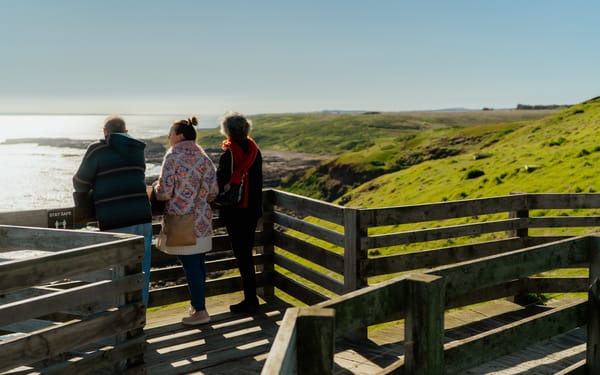 Phillip Island Wildlife & Brighton Beach Boxes Tour