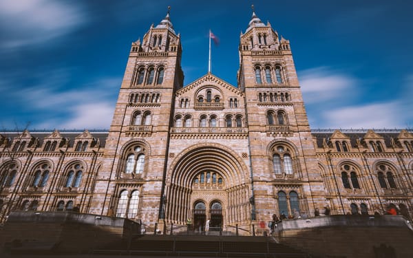 Natural History Museum tour in London