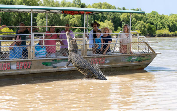Jumping Crocodile Cruise Half Day Tour