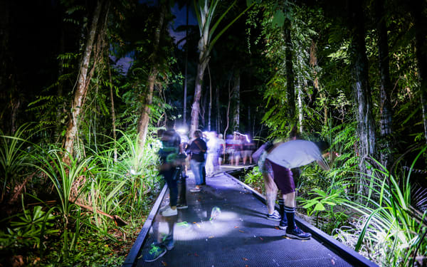 Night Walk Photography Tour at the Cairns Botanic Gardens