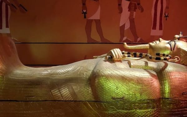 Natural History Museum Admission in Las Vegas