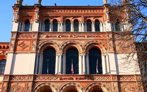 Natural History Museum ticket in Milan