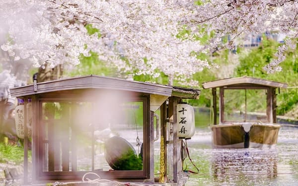 [Klook Exclusive] Kyoto Fushimi Jikkokubune Half-Day Small Group Cherry Blossom Tour