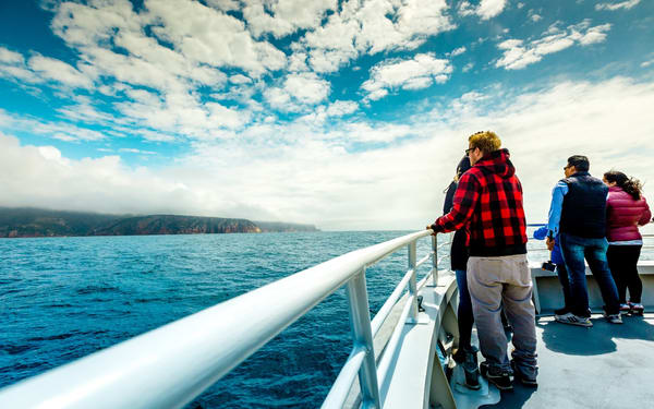 Coles Bay to Wineglass Bay Sightseeing Cruise