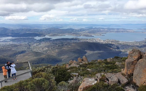 Mt Wellington Afternoon Small Group Tour