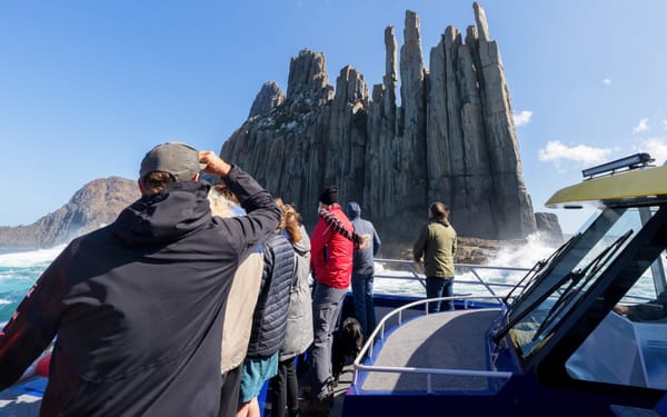 Cape Raoul Cruise