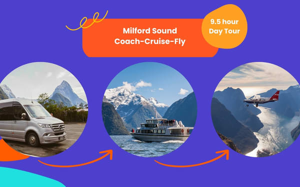 Coach Cruise Fly Milford Sound from Queenstown