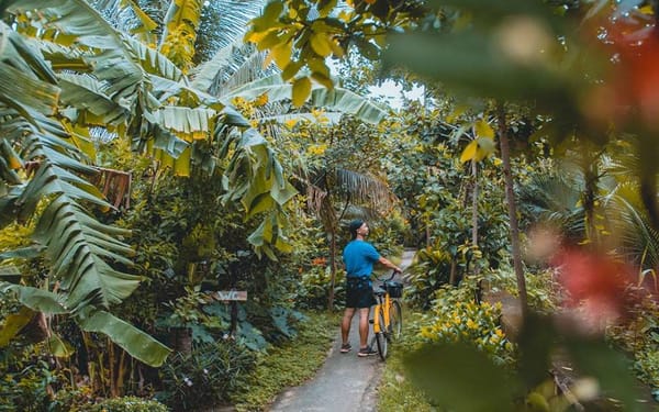 Ho Chi Minh City Hidden Mekong Island 4-Hour Small Group Cycling Tour