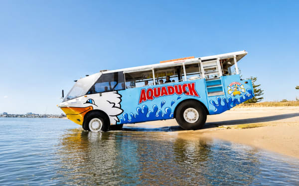 Aquaduck Safari City Guided Tour with River Cruise Experience