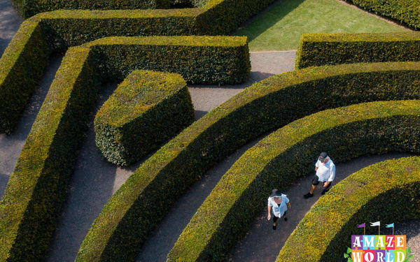 Amaze World Ticket - Sunshine Coast
