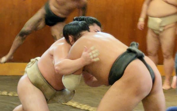 Real Sumo Training Watching Experience in Tokyo
