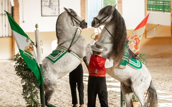 Andalusian horse and Flamenco show in Torremolinos