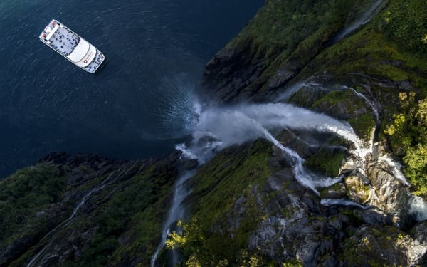 Milford Sound Nature Cruise by Southern Discoveries