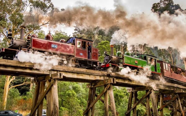 Melbourne Puffing Billy & Penguin Parade Day Tour