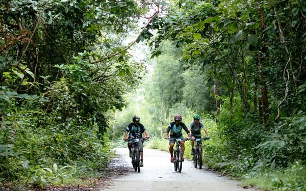 Chiang Mai Biking Day Tour by Trailhead