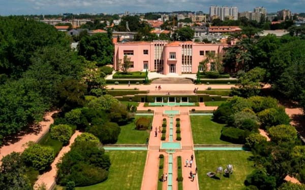 Serralves Park and Treetop Walk ticket in Porto