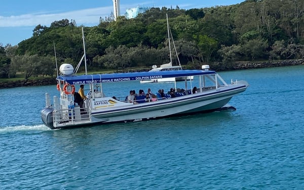 2 Hour Mooloolaba Whale Watching Experience