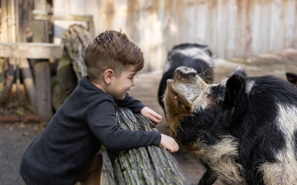 Willowbank Wildlife Reserve Admission Ticket