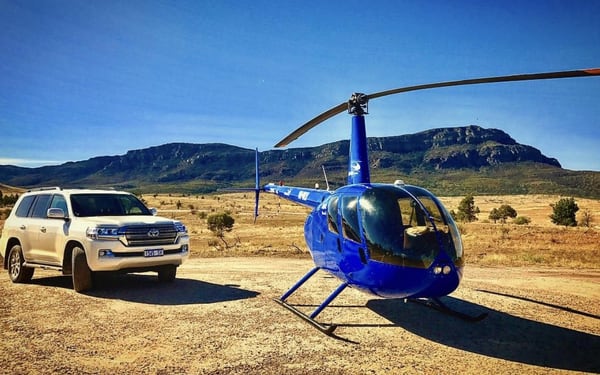 Over the Top Safari Tour