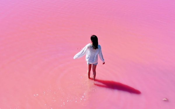 2 Days Western Australia Pink Lake Tour