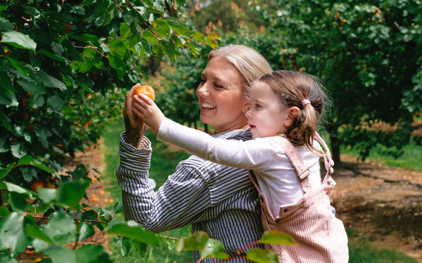 Melbourne's Yarra Valley Orchard Tour