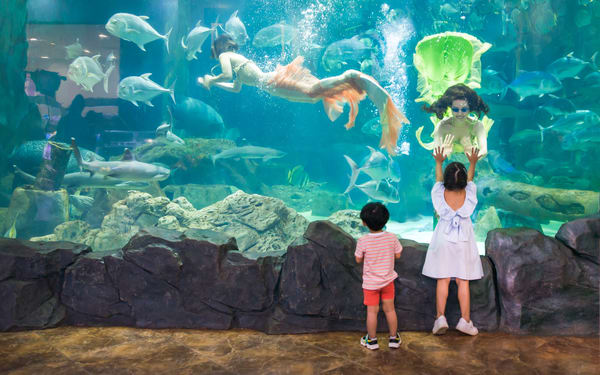 VinKE & Vinpearl Aquarium Ticket in Ha Noi