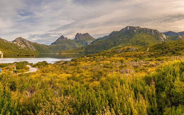 Cradle Mountain National Park Day Tour from Launceston